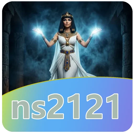 Performa ns2121